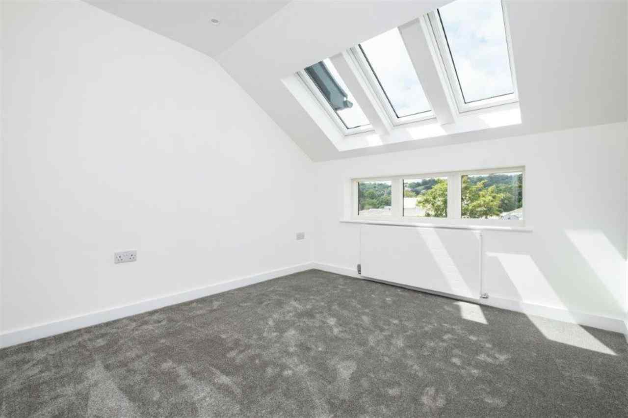 resized-2349823-8 MASTER.jpg